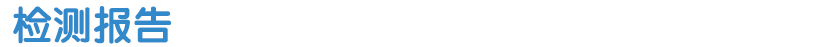 檢測報告